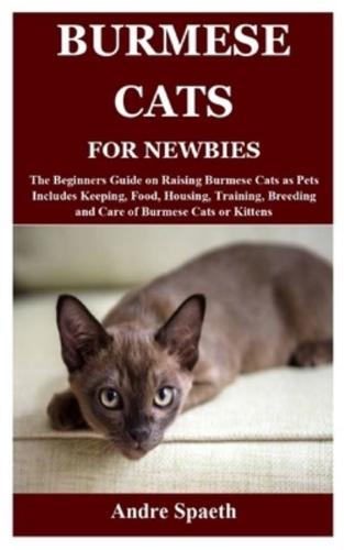 Burmese Cats for Newbies