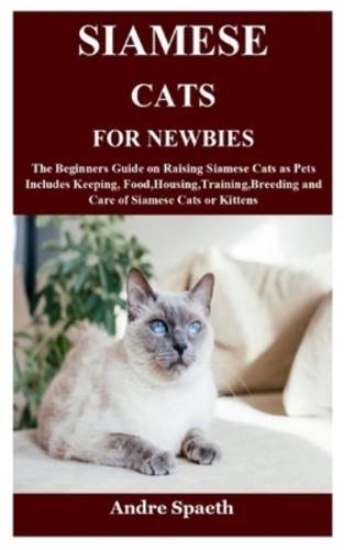 Siamese Cats for Newbies