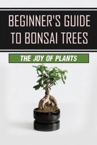 Beginner's Guide To Bonsai Trees
