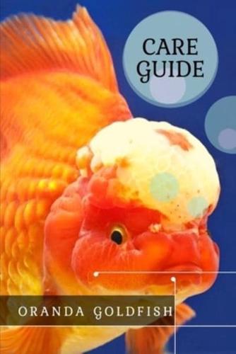 Oranda Goldfish: Facts & Information