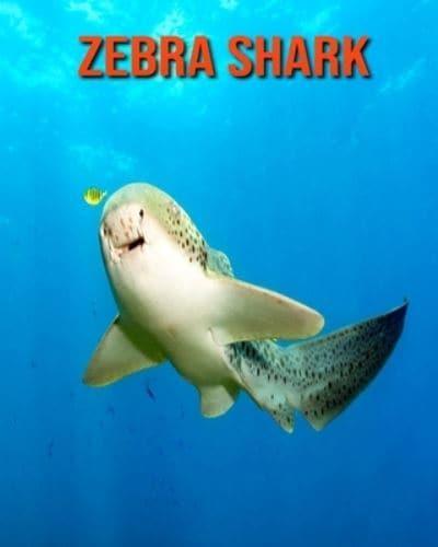 Zebra Shark