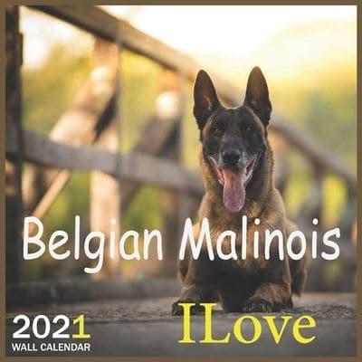 ILove Belgian Malinois