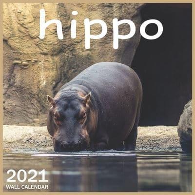 2021 Hippo