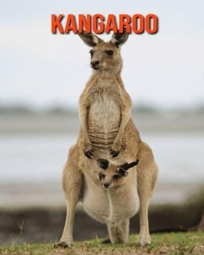 Kangaroo