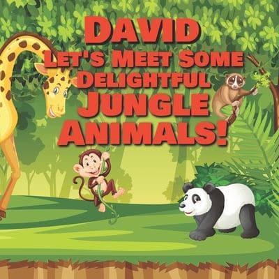 David Let's Meet Some Delightful Jungle Animals!