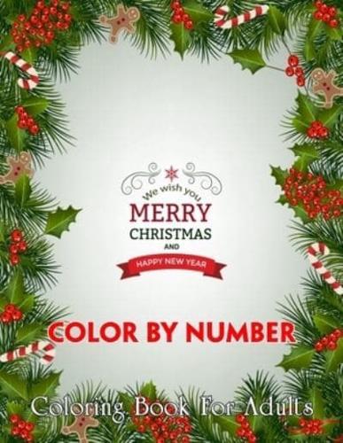 Merry Christmas And Happy New Year Color By Number Coloring Book For Adults