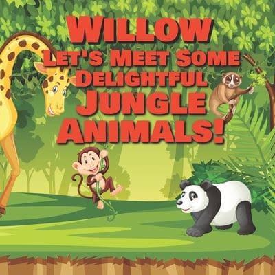 Willow Let's Meet Some Delightful Jungle Animals!