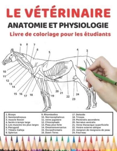 Le Vétérinaire Anatomie Et Physiologie Livre De Coloriage Pour Les Étudiants