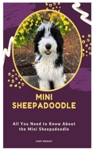 Mini Sheepadoodle