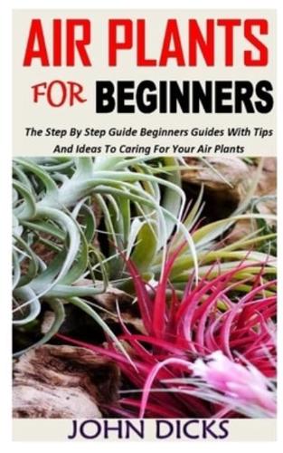 Air Plants for Beginners