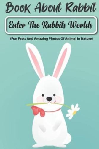 Book About Rabbit Enter The Rabbits Worlds (Fun Facts And Amazing Photos Of Animal In Nature)