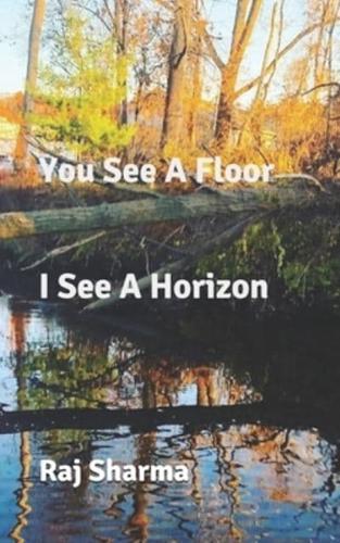 You See A Floor I See A Horizon