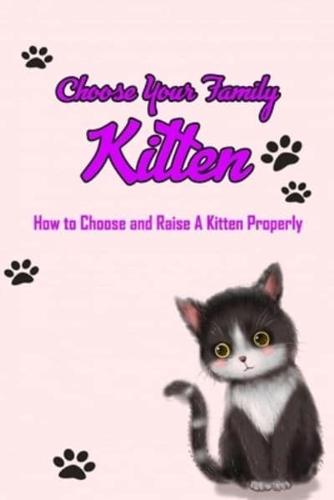 Choose Your Family Kitten