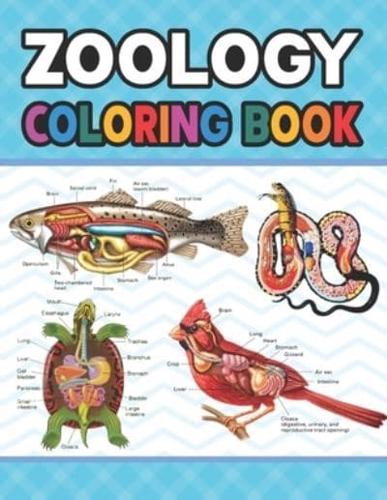 Zoology Coloring Book: Learn The Zoology & Enhance Your Practice. Animal Anatomy and Veterinary Anatomy Coloring Book. Dog Cat Horse Frog Bird Anatomy Coloring book. Vet tech coloring books. Handbook of Zoology Students & Teachers.