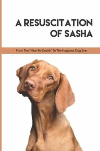 A Resuscitation Of Sasha - From The -Near-to-Dealth- To The Happiest Dog Ever