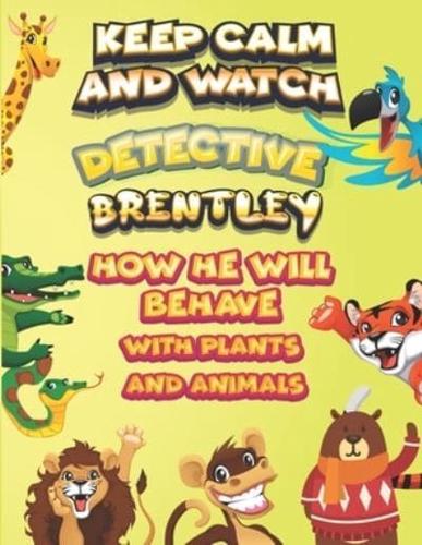 Keep Calm and Watch Detective Brentley How He Will Behave With Plant and Animals