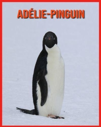 Adélie-Pinguin