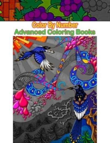 Color By Number Advanced Coloring Books