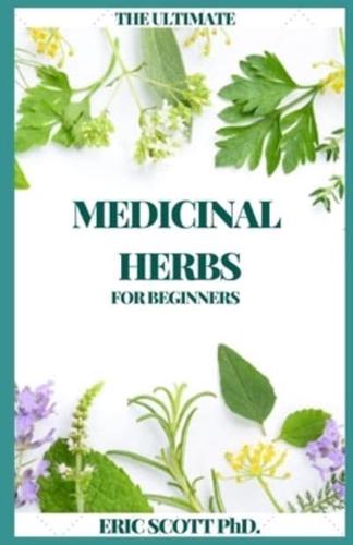 The Ultimate Medicinal Herbs for Beginners