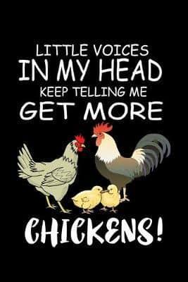 Little Voices In My Head Keep Telling Me Get More Chickens