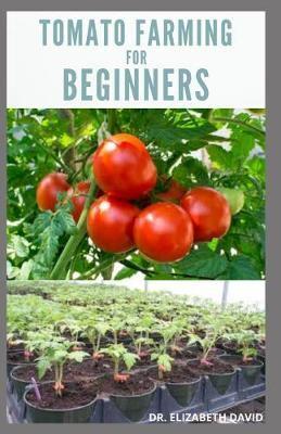 Tomato Farming for Beginners