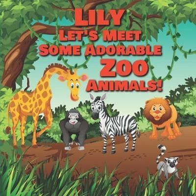 Lily Let's Meet Some Adorable Zoo Animals!