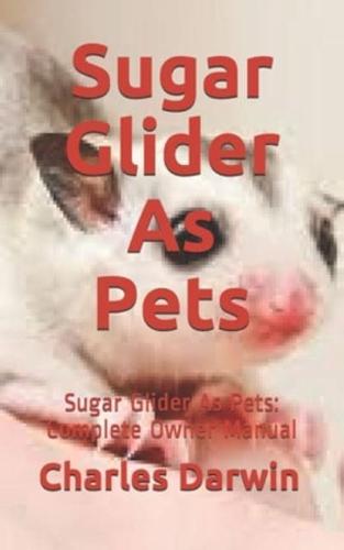 Sugar Glider As Pets