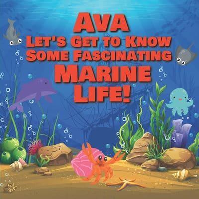 Ava Let's Get to Know Some Fascinating Marine Life!