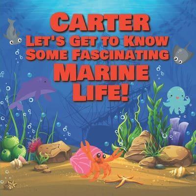Carter Let's Get to Know Some Fascinating Marine Life!