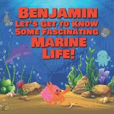 Benjamin Let's Get to Know Some Fascinating Marine Life!