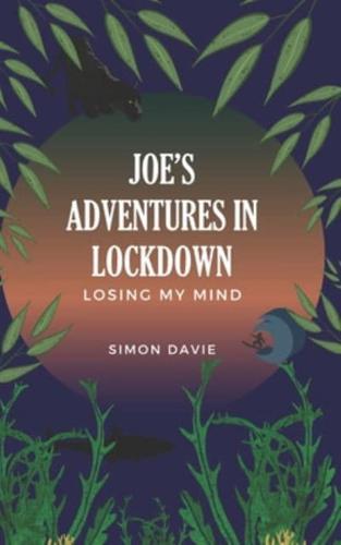 Joe's Adventures in Lockdown