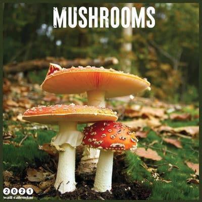 Mushrooms 2021 Wall Calendar