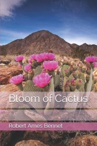 Bloom of Cactus