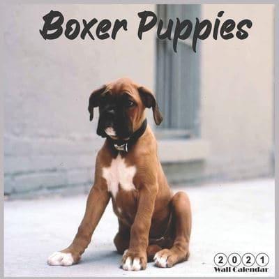 Boxer Puppies 2021 Wall Calendar