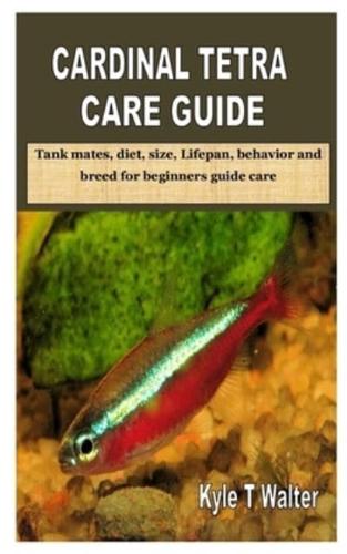 Cardinal Tetra Care Guide
