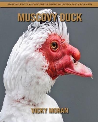 Muscovy Duck