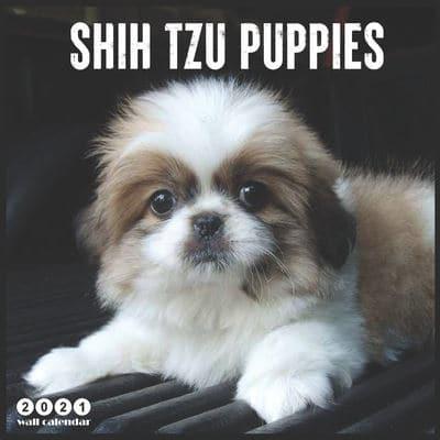 Shih Tzu Puppies 2021 Calendar