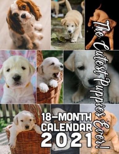 The Cutest Puppies Ever! 18-Month Calendar 2021