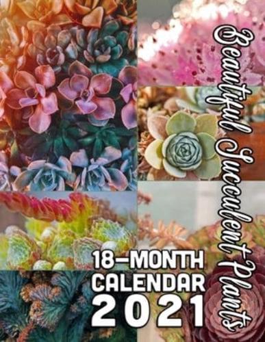 Beautiful Succulent Plants 18-Month Calendar 2021