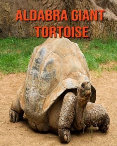 Aldabra Giant Tortoise