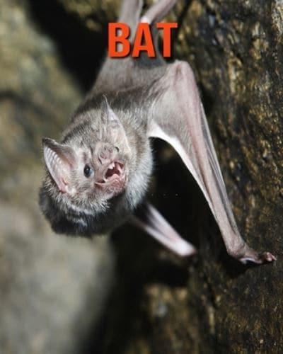 Bat