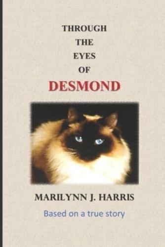 Through the Eyes of Desmond