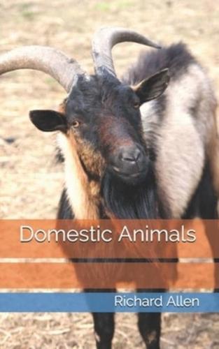 Domestic Animals