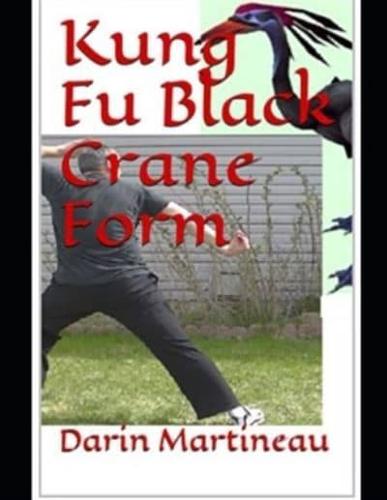 Kung Fu Black Crane Form