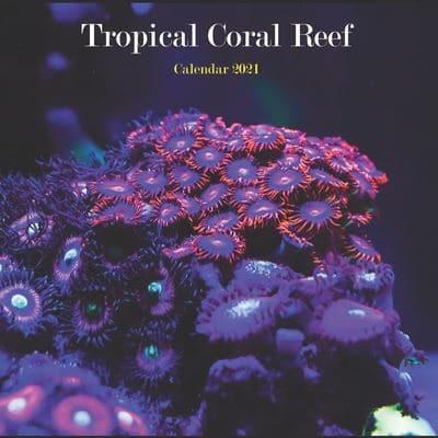 Tropical Coral Reef Calendar 2021