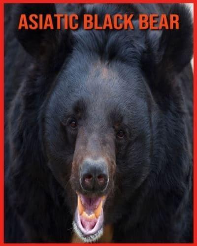 Asiatic Black Bear