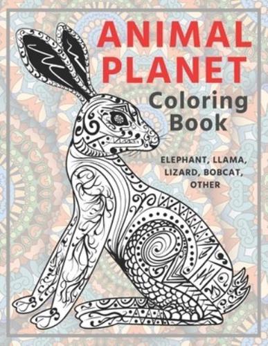 Animal Planet - Coloring Book - Elephant, Llama, Lizard, Bobcat, Other