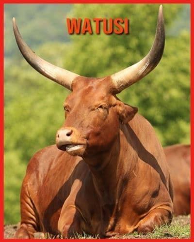 Watusi