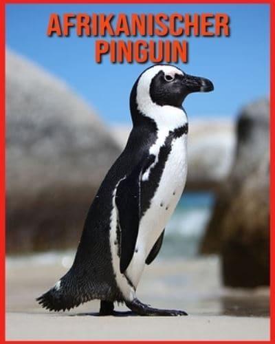 Afrikanischer Pinguin