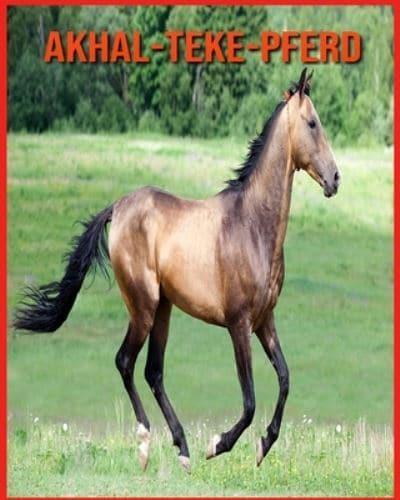 Akhal-Teke-Pferd